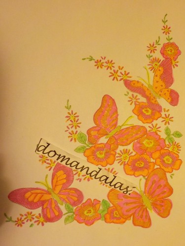 mariposas-e-insectos