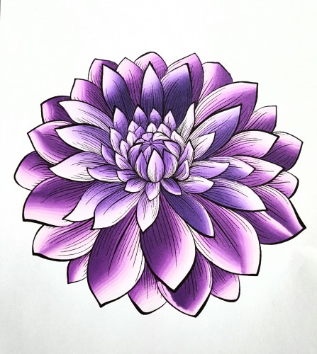 flores-y-vegetacion