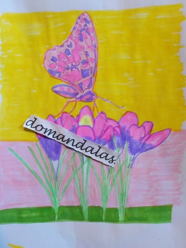 mariposas-e-insectos