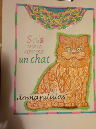 animales