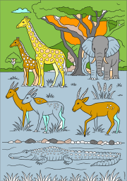 Werk von Anonym nach Animales de África
