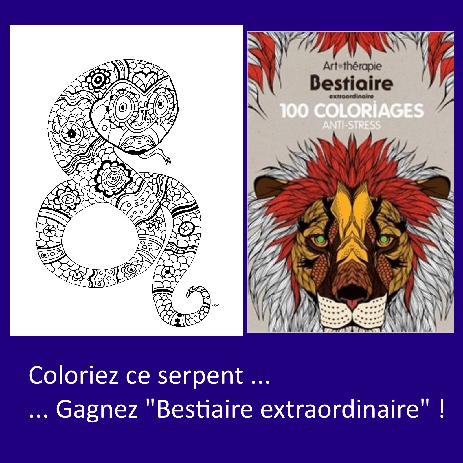 Téléchargez et imprimez le coloriage exclusif Le serpent présent   la fin de notre galerie Animaux dernier coloriage