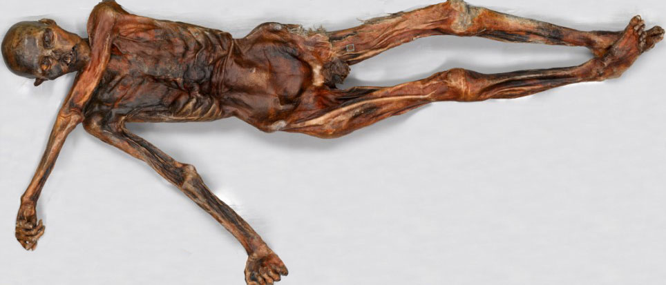 Le corps d'Ötzi