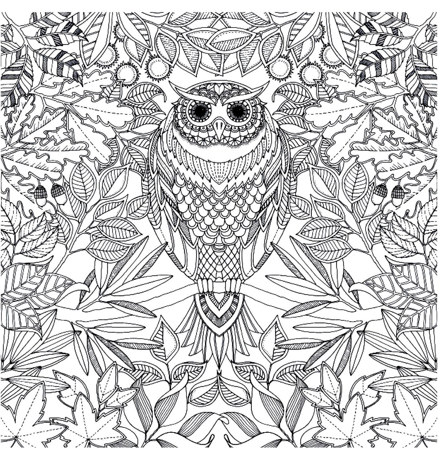 coloriage adulte hibou