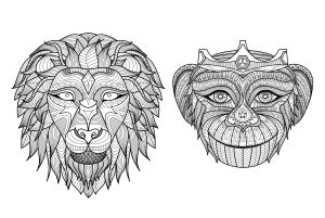 Coloriage adulte afrique tetes singe lion