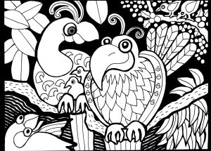 Coloriage de à imprimer pour adultes : Afrique-dessin-oiseaux