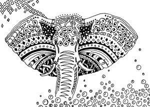 Coloriage afrique elefants