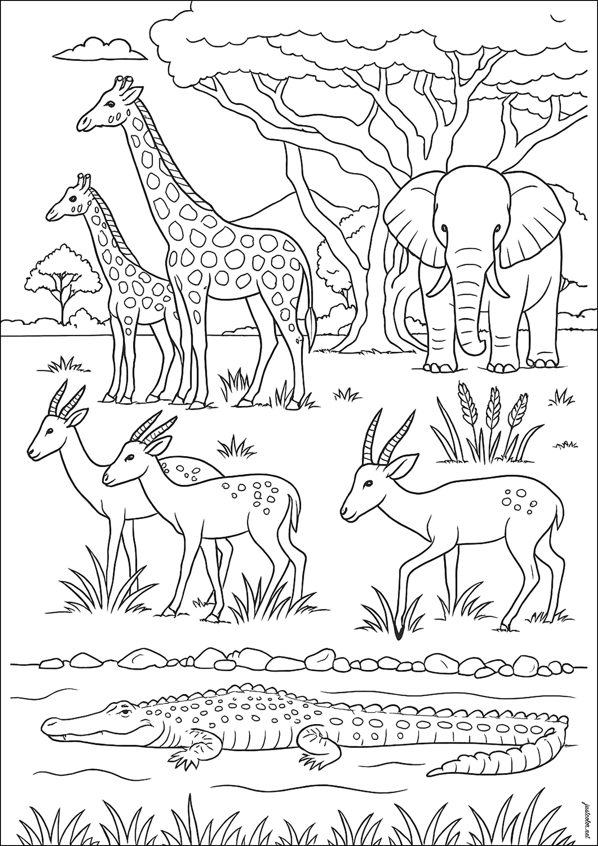 Animaux d'Afrique (Coloriage d'OLDAfrique à imprimer pour adultes)
