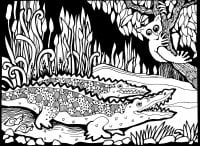 Deux drôles de crocodiles (Coloriage d'OLDAfrique)