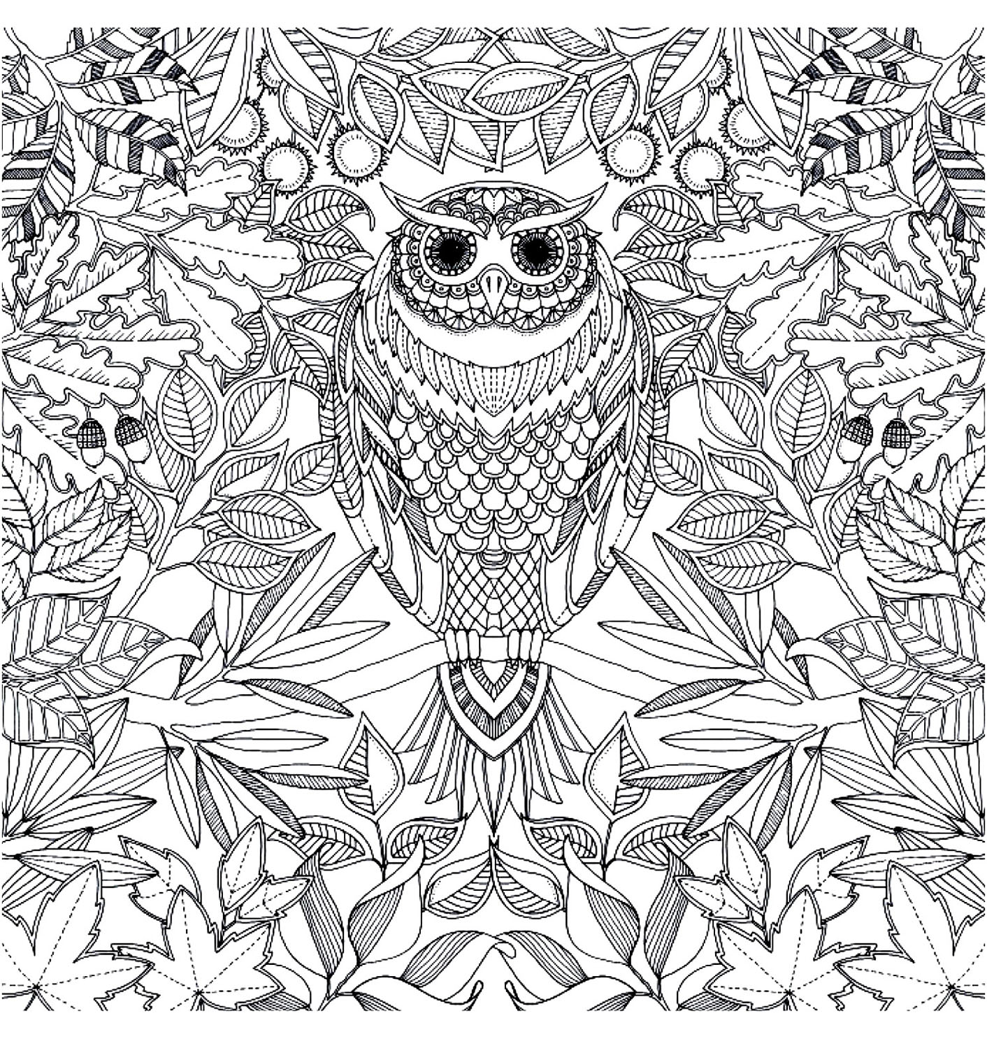 coloriage adulte hibou 2 free to print