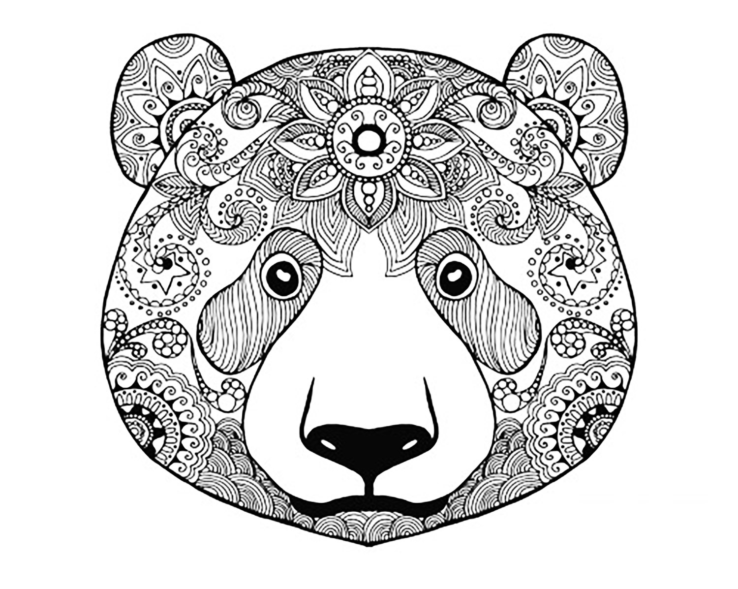 Tªte d ours imprimer et colorier