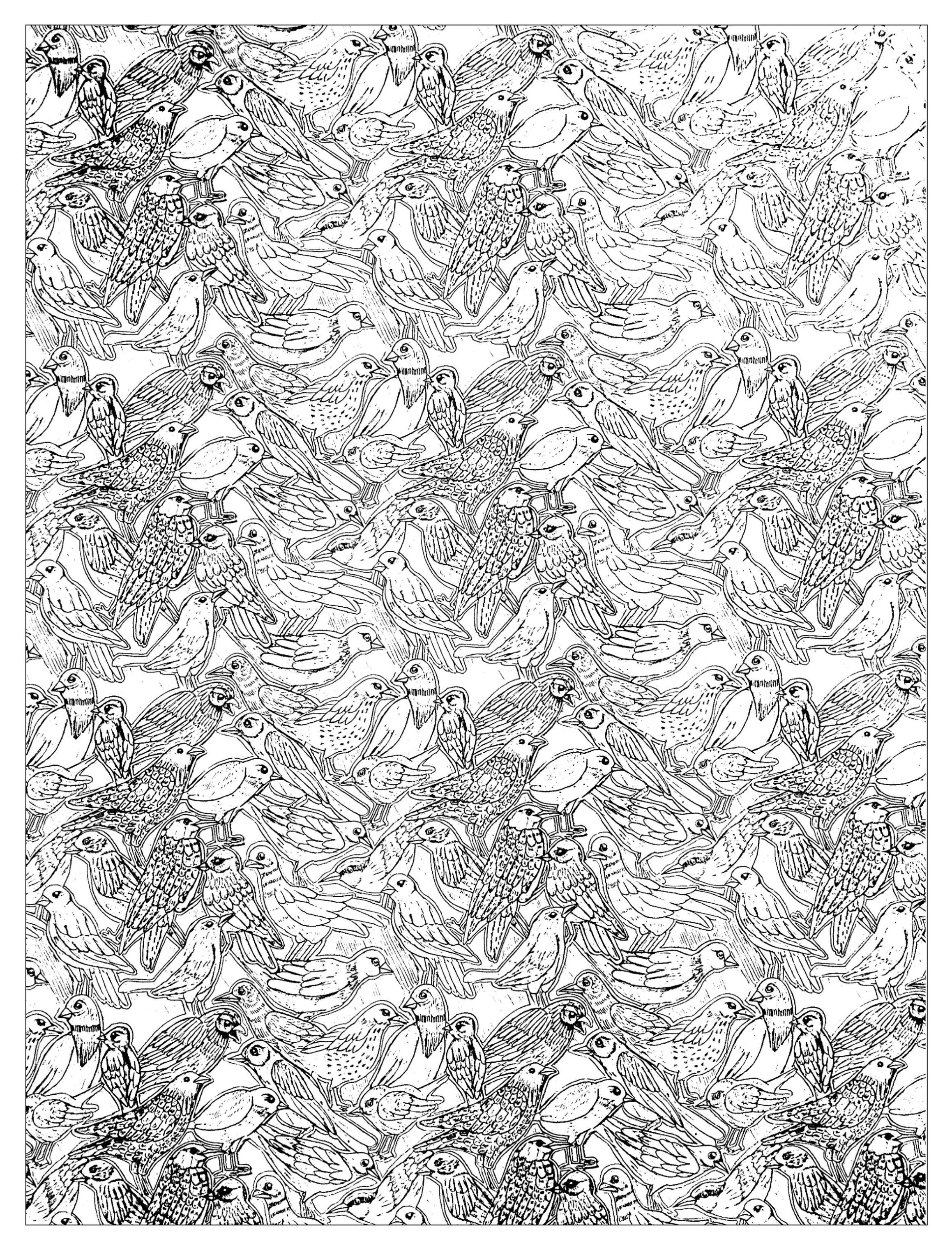 Animaux Coloriages difficiles pour adultes JustColor Coloriage de nombreux oiseaux entremªlés