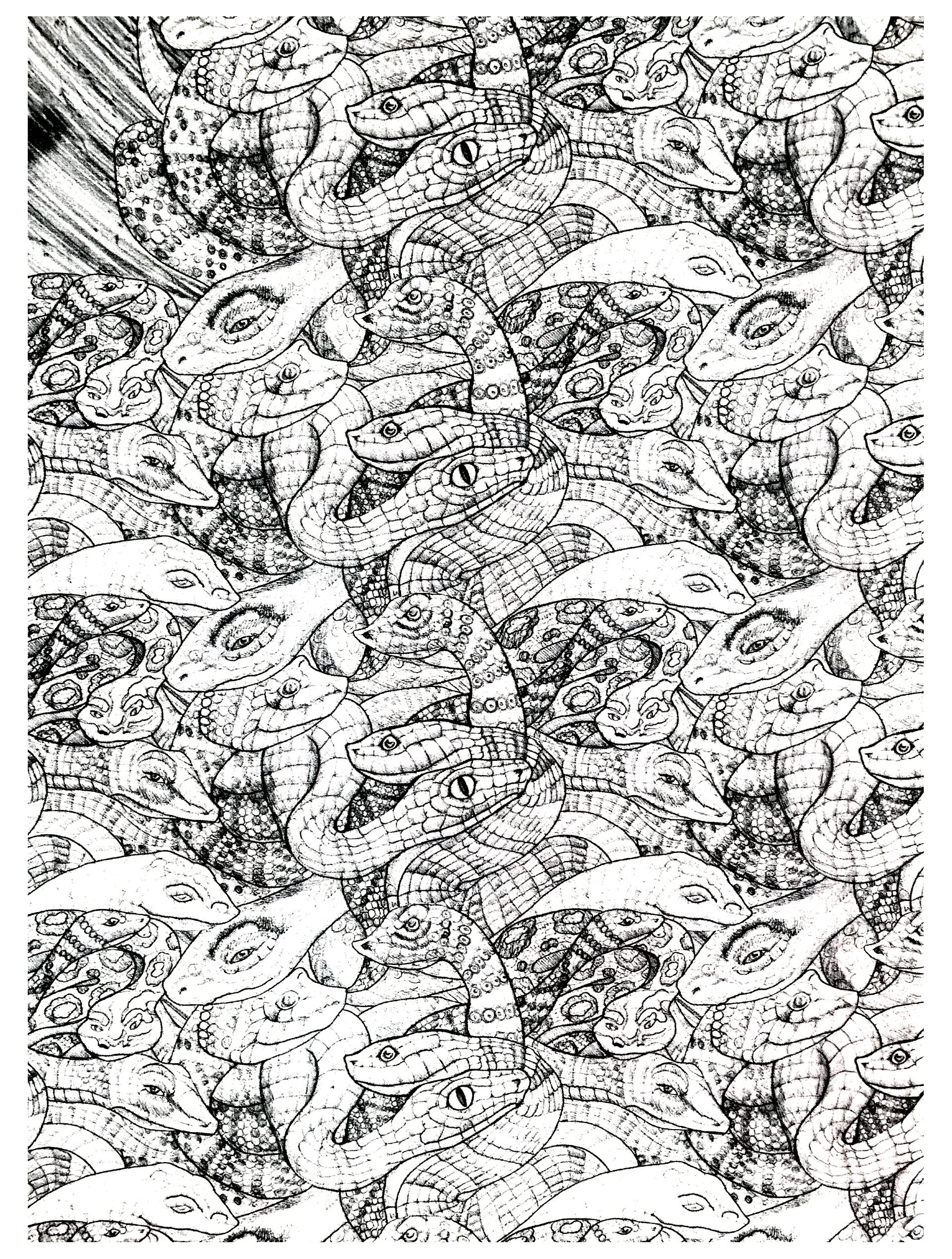 image=animaux coloriage adultes serpents enchevetres 1