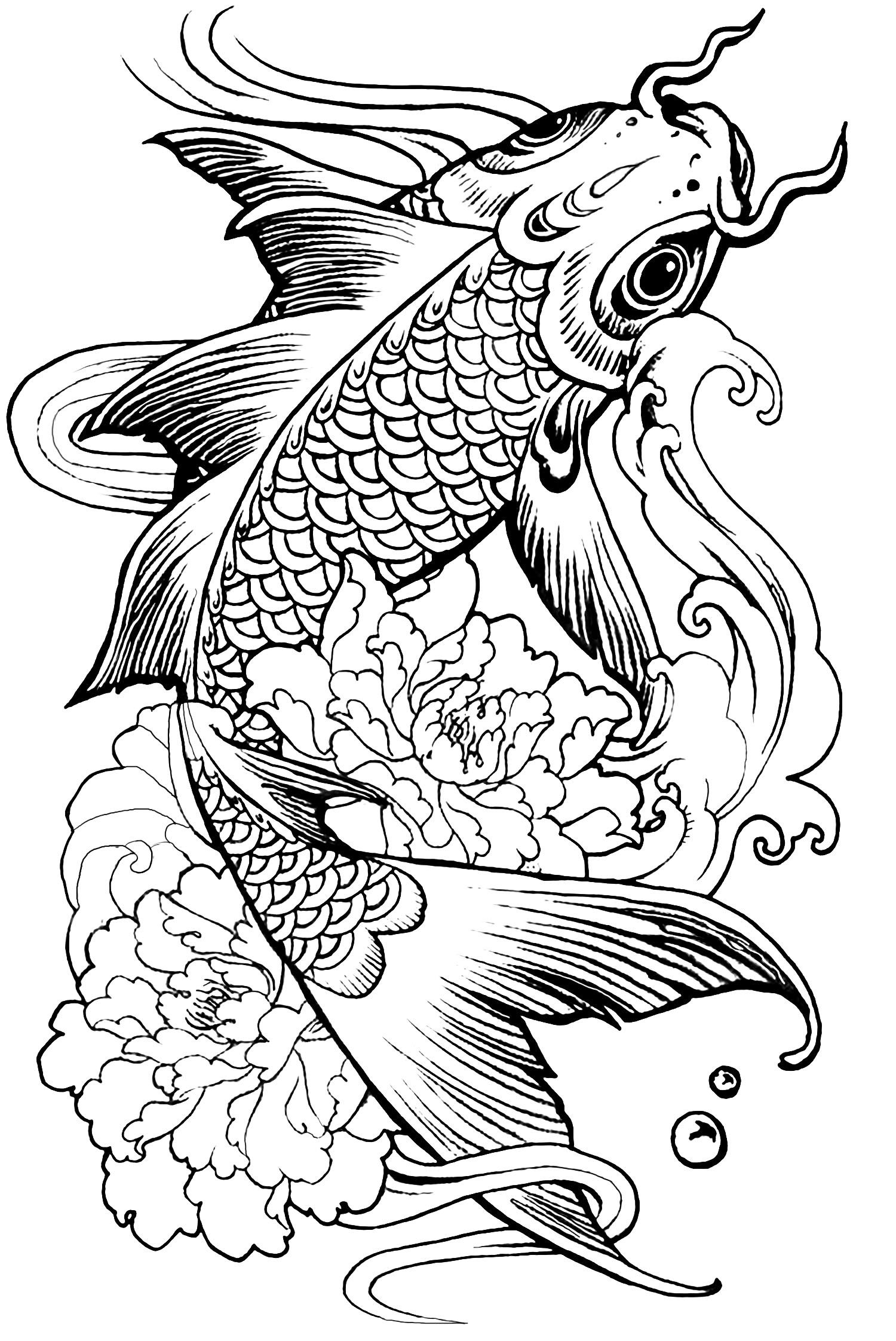 Magnifique coloriage d un poisson une carpe Ce dessin peut ªtre utilisé