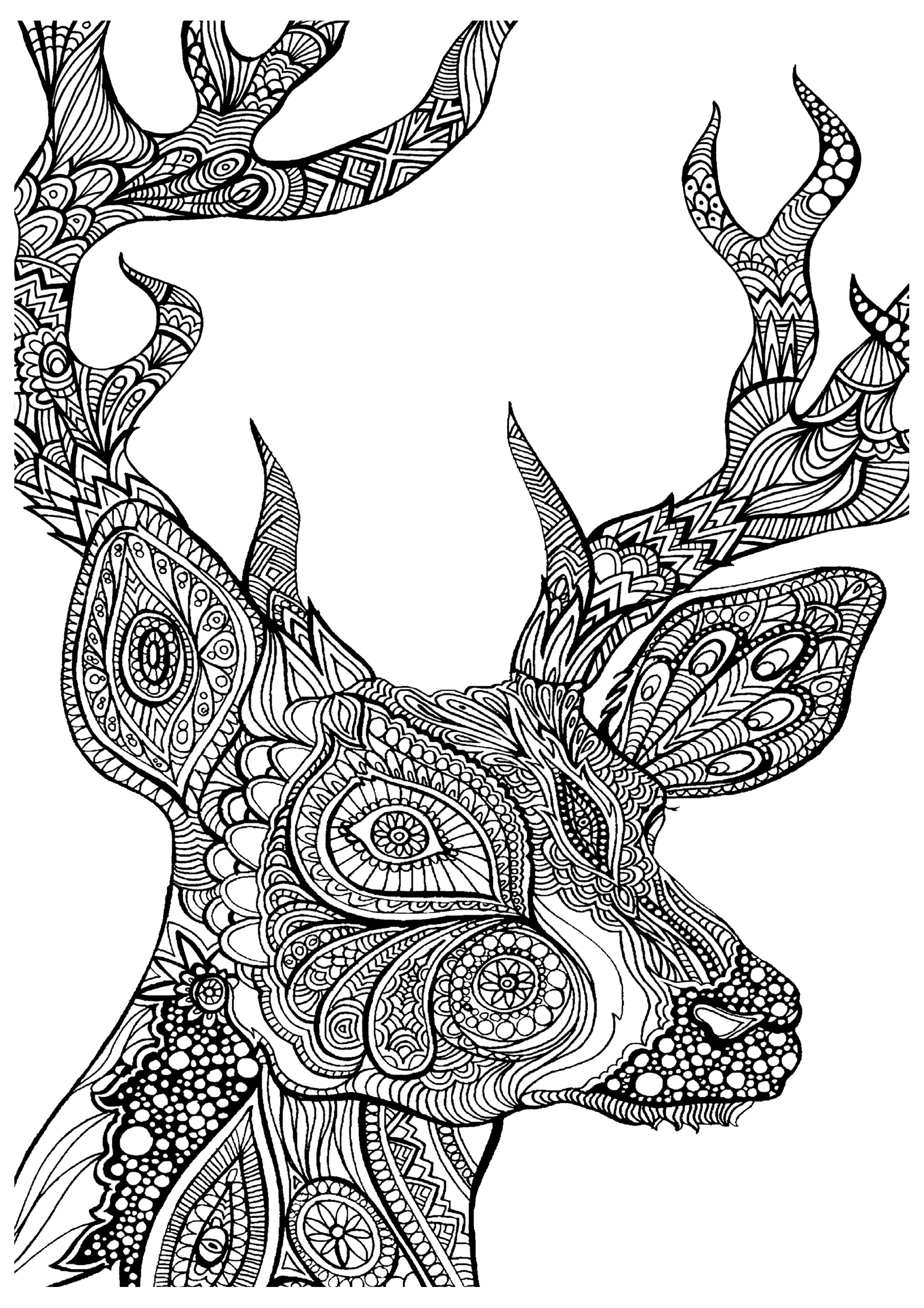 image=animaux coloriage difficile cerf zoom 1