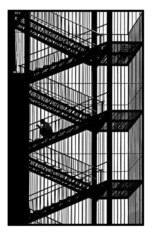 Des escaliers et une façade constituant un magnifique et original coloriage