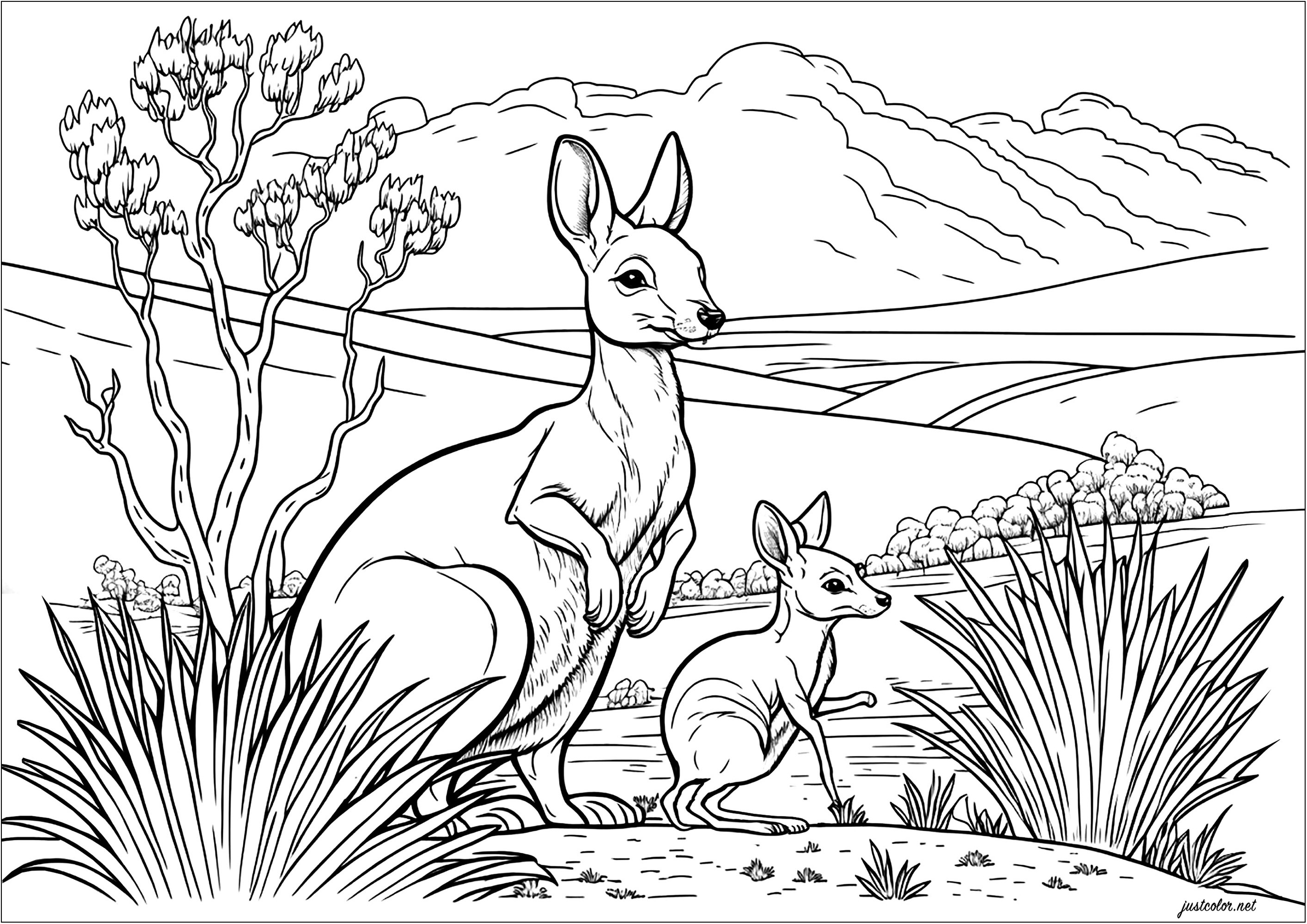 Coloriez cette mère kangourou et son petit. Explorez le paysage du désert australien avec des cactus et un ciel ensoleillé, en utilisant votre imagination pour donner vie à cette scène. Laissez votre créativité s'exprimer avec les couleurs et rejoignez l'aventure sautillante de ces deux kangourous, Artiste : IAsabelle