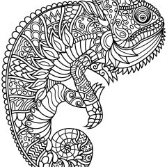 Coloriages de Caméléons et lézards à imprimer pour adultes