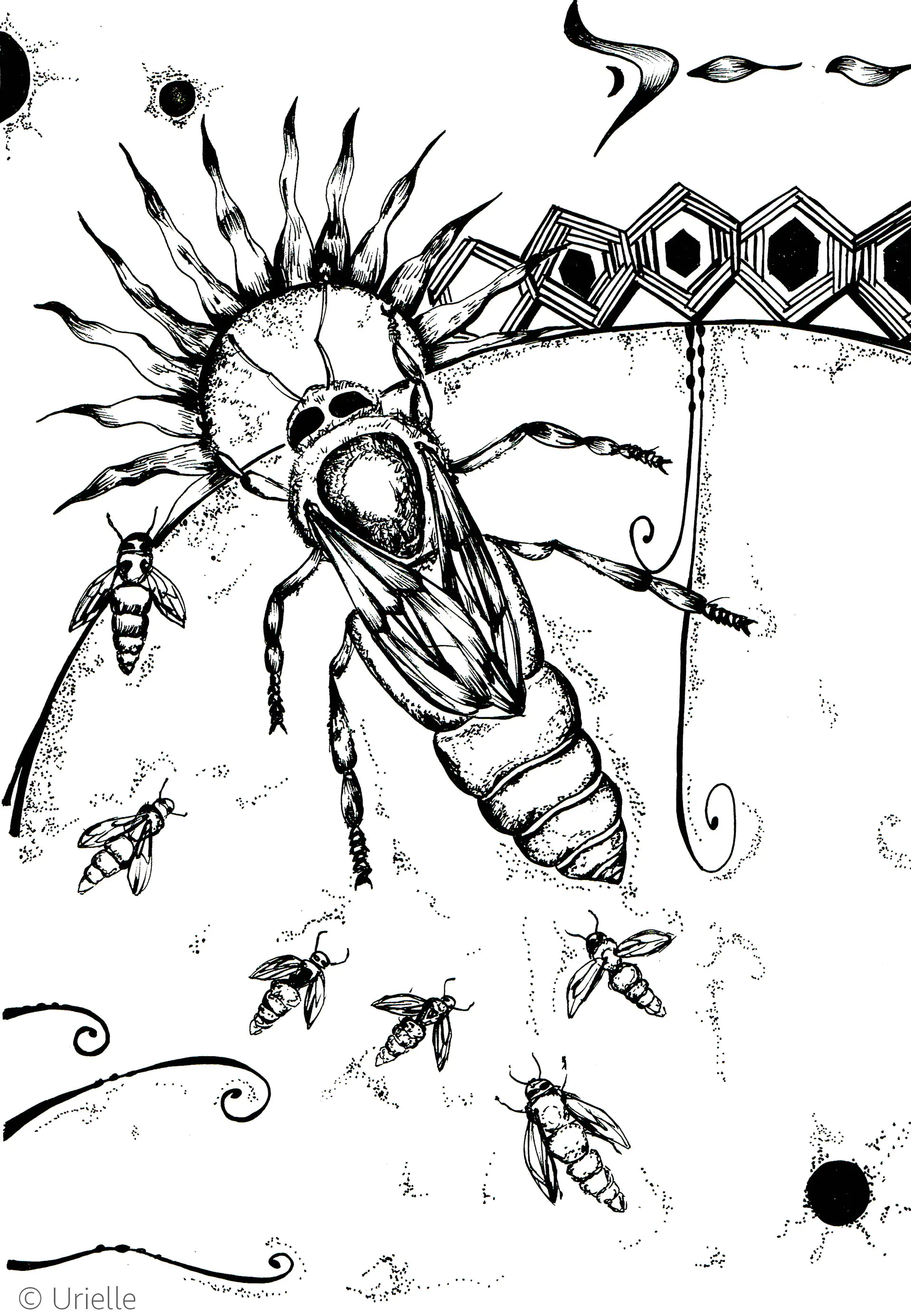L'abeille (Coloriage de Jeu de Cartes des 8 animaux sacrés, par Urielle à imprimer pour adultes)