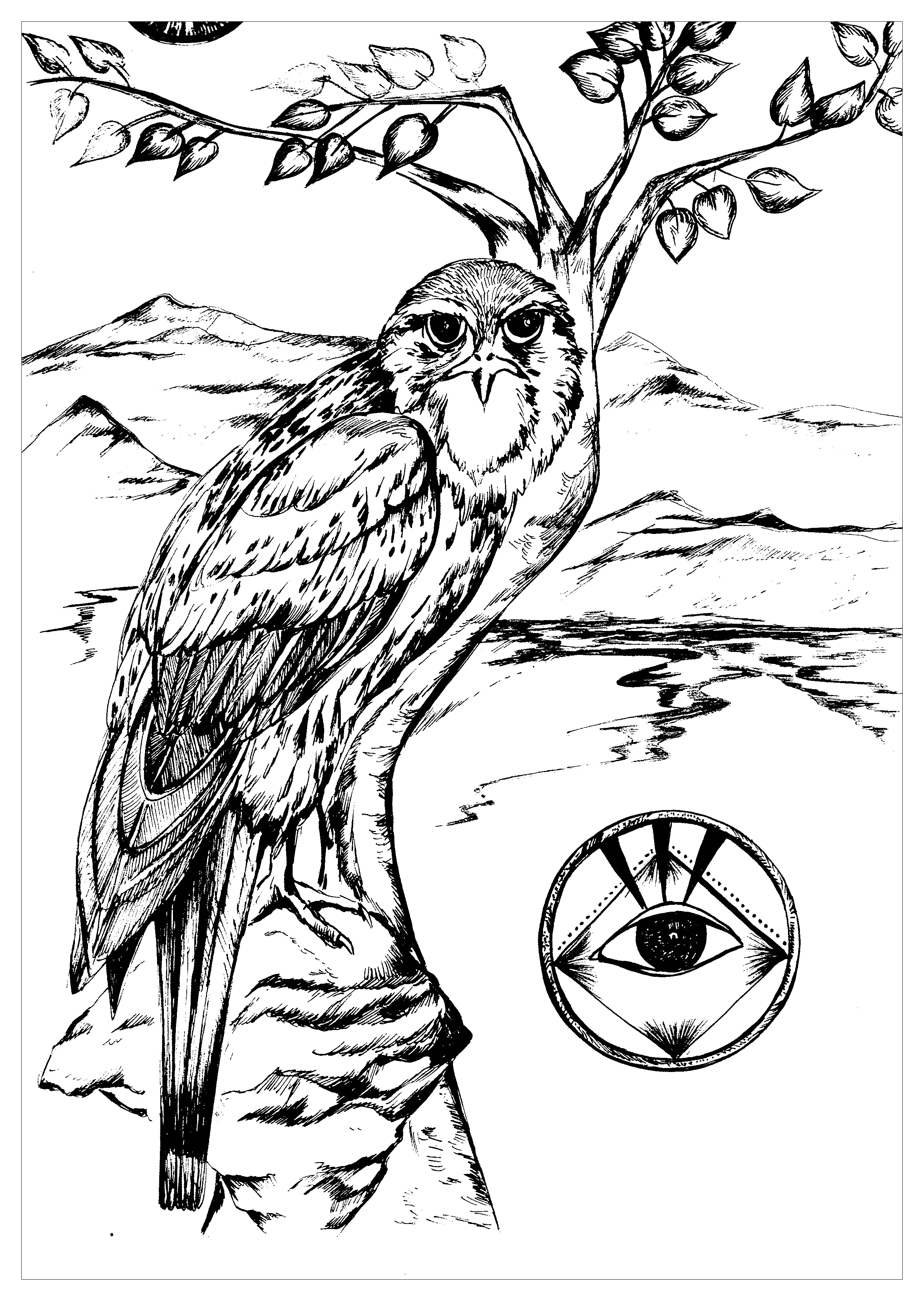 Le faucon (Coloriage de Jeu de Cartes des 8 animaux sacrés, par Urielle à imprimer pour adultes)