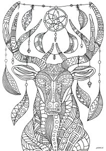 Coloriage de à imprimer pour adultes : Cerf attrape-rêves complexe