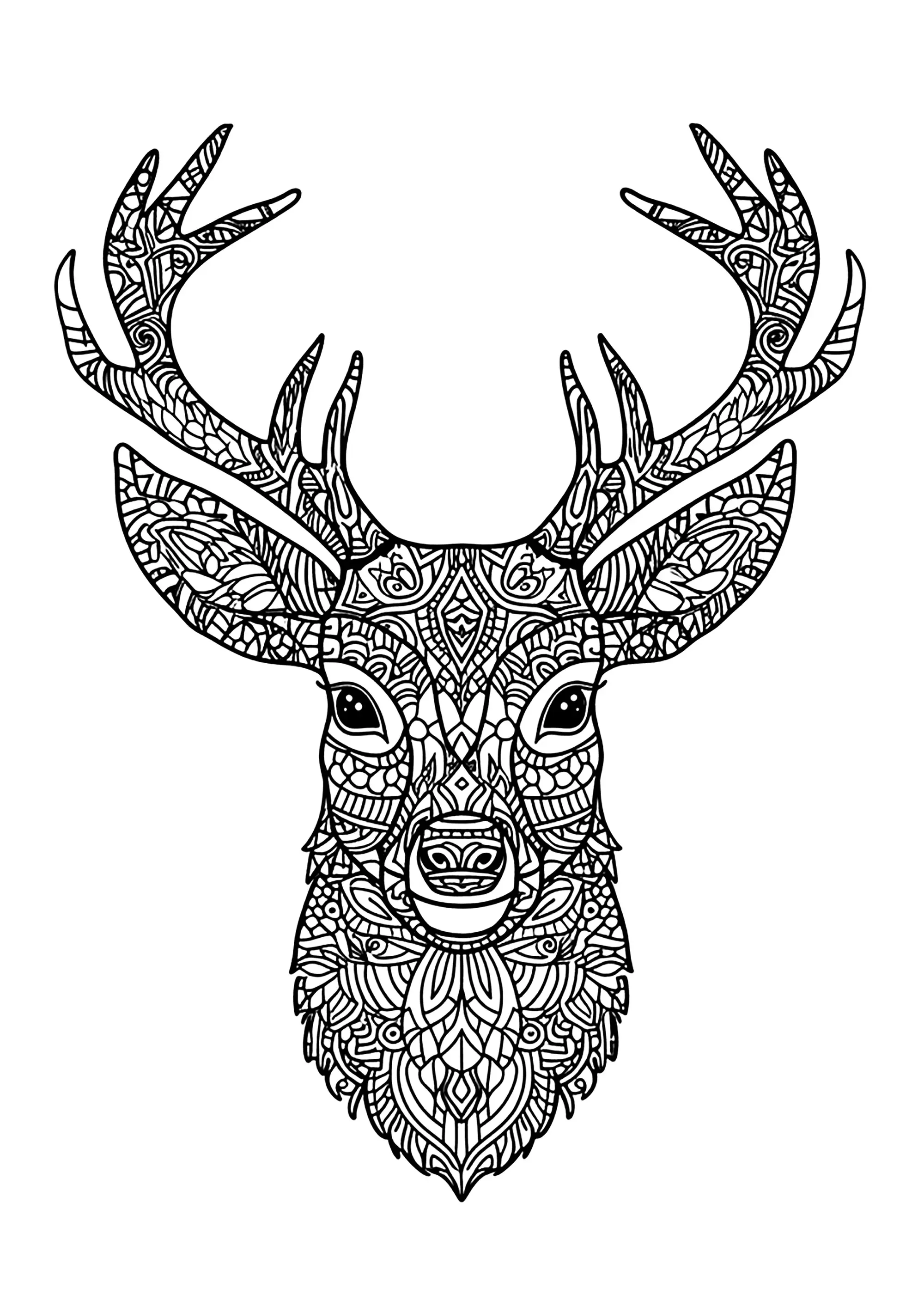 Cerf de face avec nombreux détails à mettre en couleur (Coloriage à imprimer pour adultes)