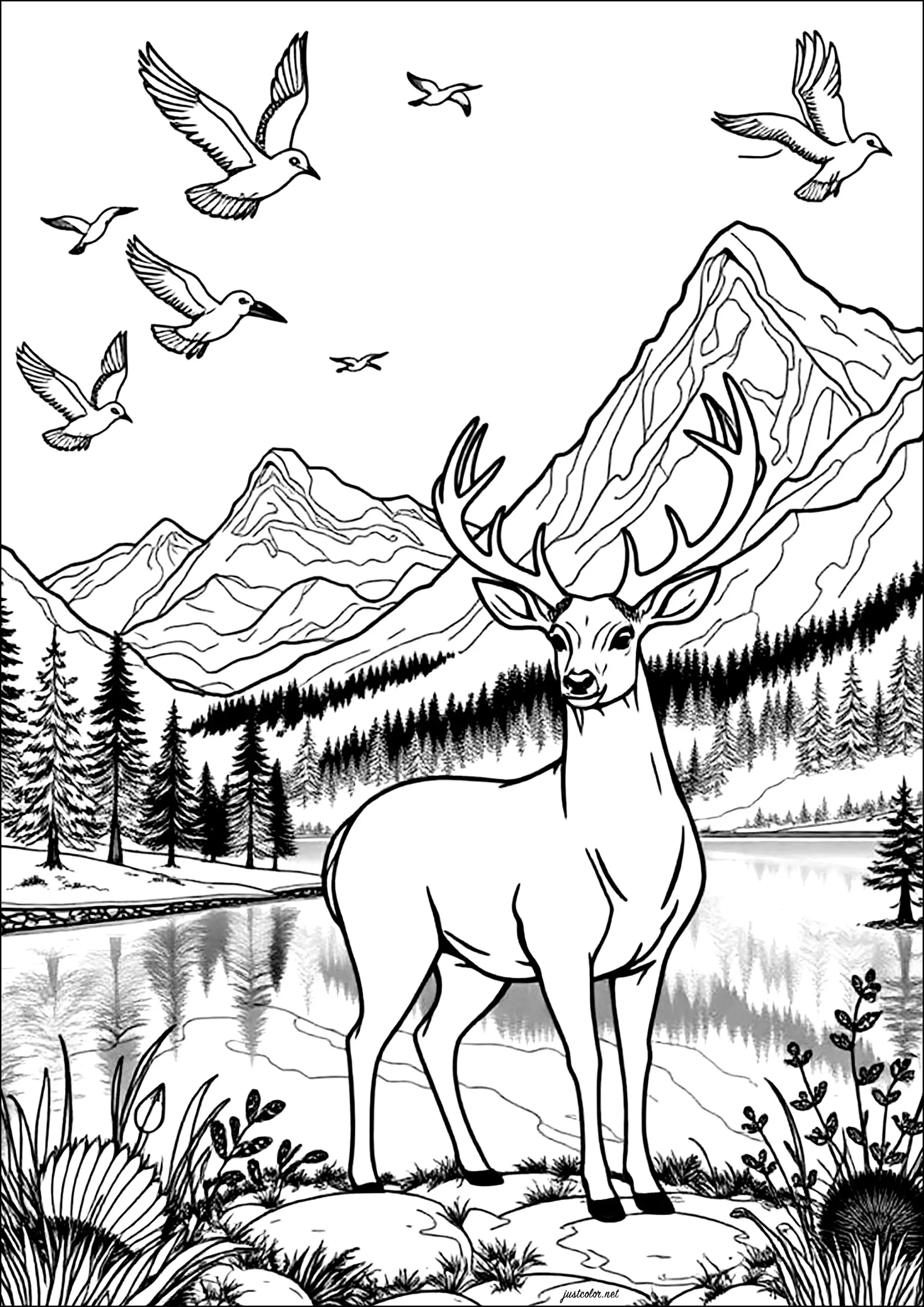 Cerf au bord d'un lac (Coloriage à imprimer pour adultes)