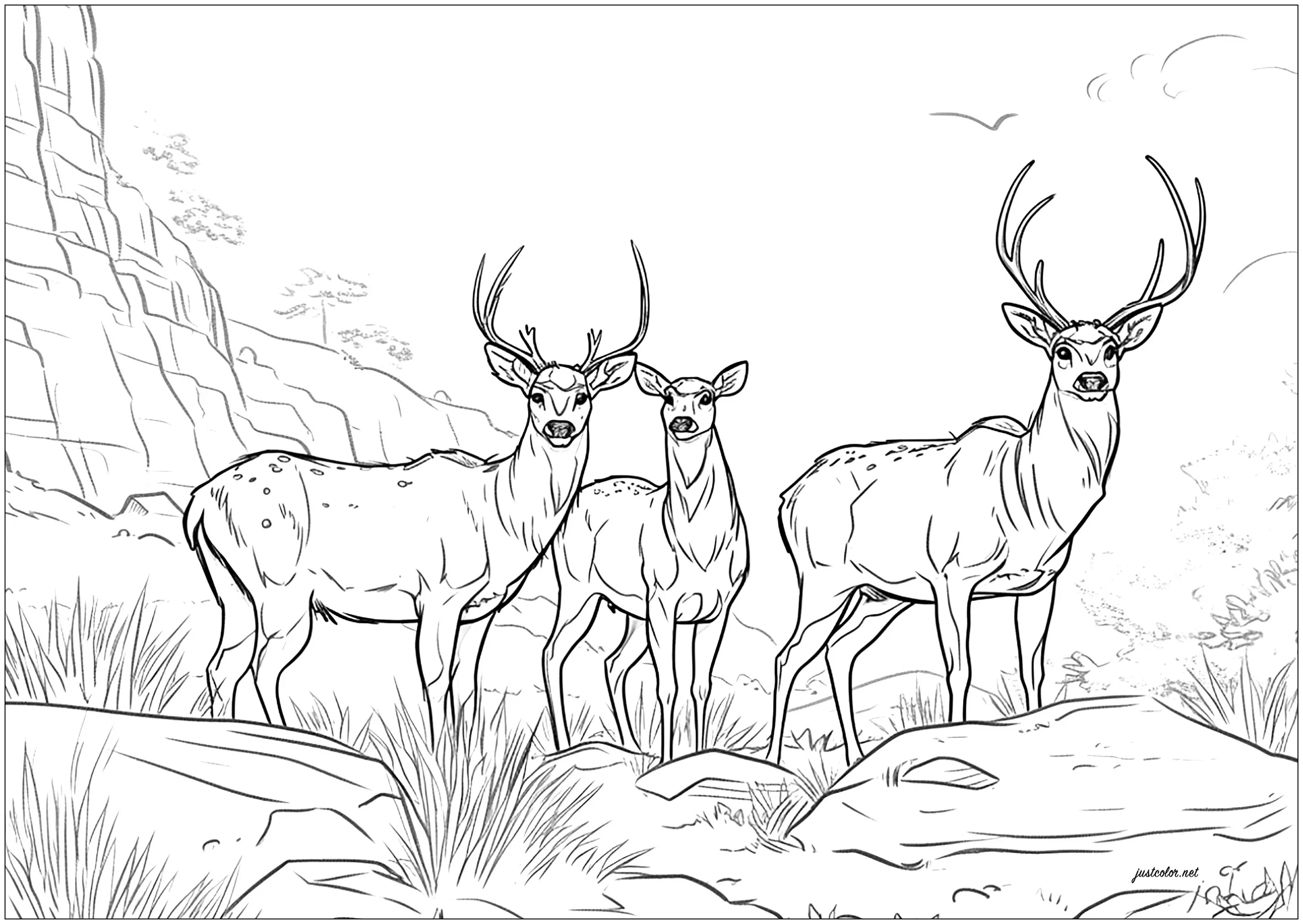 Trois cerfs adultes (Coloriage à imprimer pour adultes)