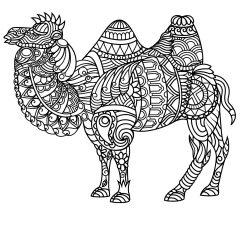 Coloriages de Chameaux et Dromadaires à imprimer pour adultes