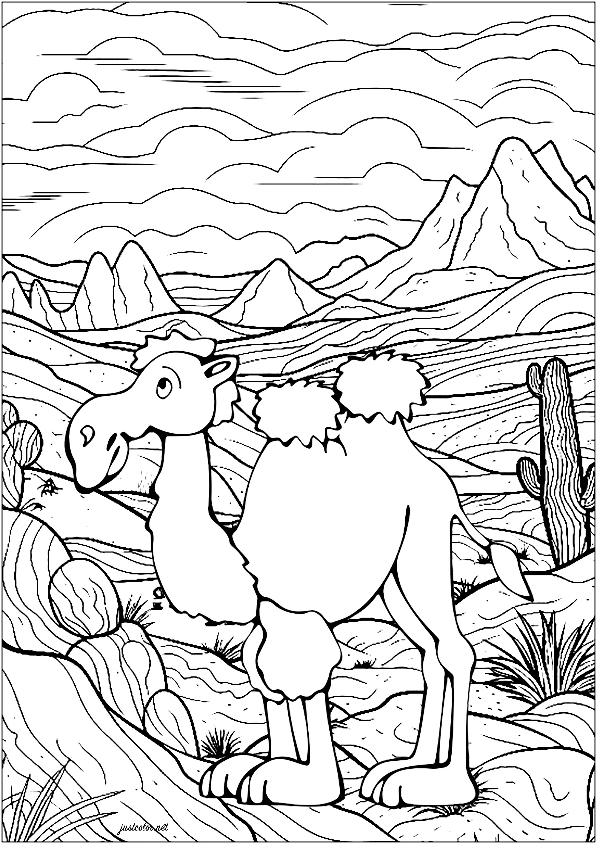 Chameau dans le désert. Coloriage d'un chameau dans le désert, avec nombreux détails en arrière-plan : montagnes, cactus, ciel nuageux ...