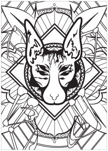 Coloriage de à imprimer pour adultes : Chat fusionné à une araignée