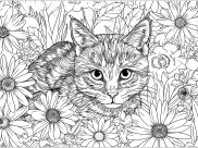 Coloriages de Chats à imprimer pour adultes