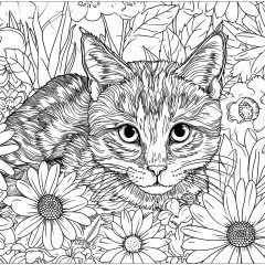 Coloriages de Chats à imprimer pour adultes