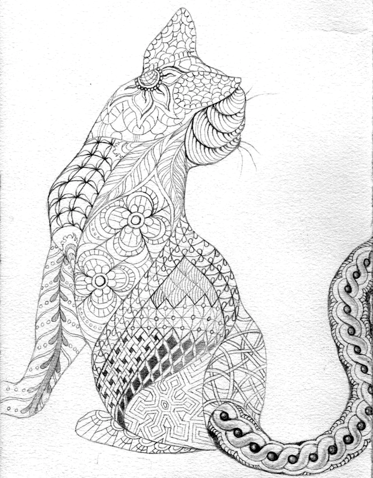 Chat vue de dos (Coloriage à imprimer pour adultes)