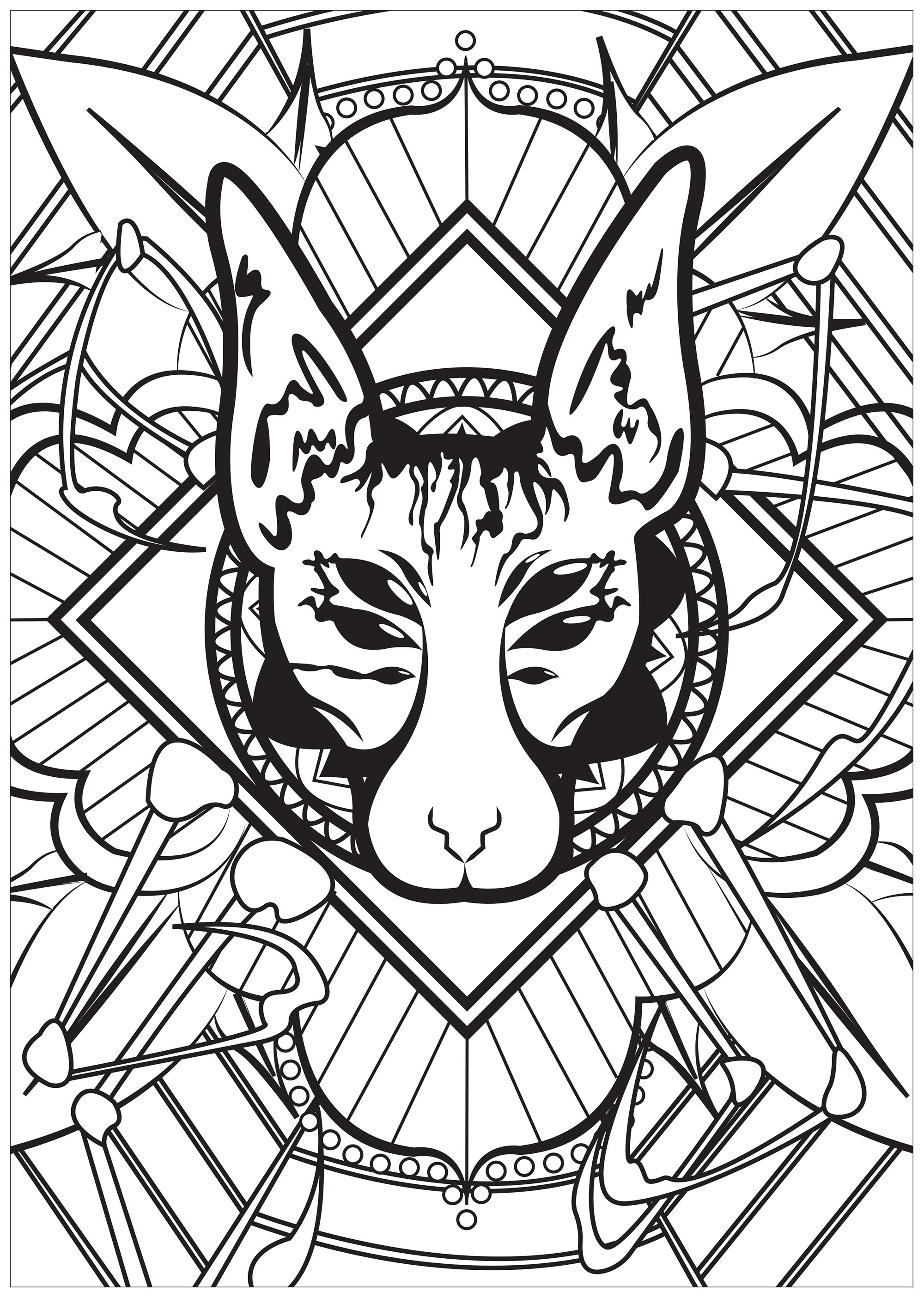 Chat fusionné à une araignée (Coloriage à imprimer pour adultes)