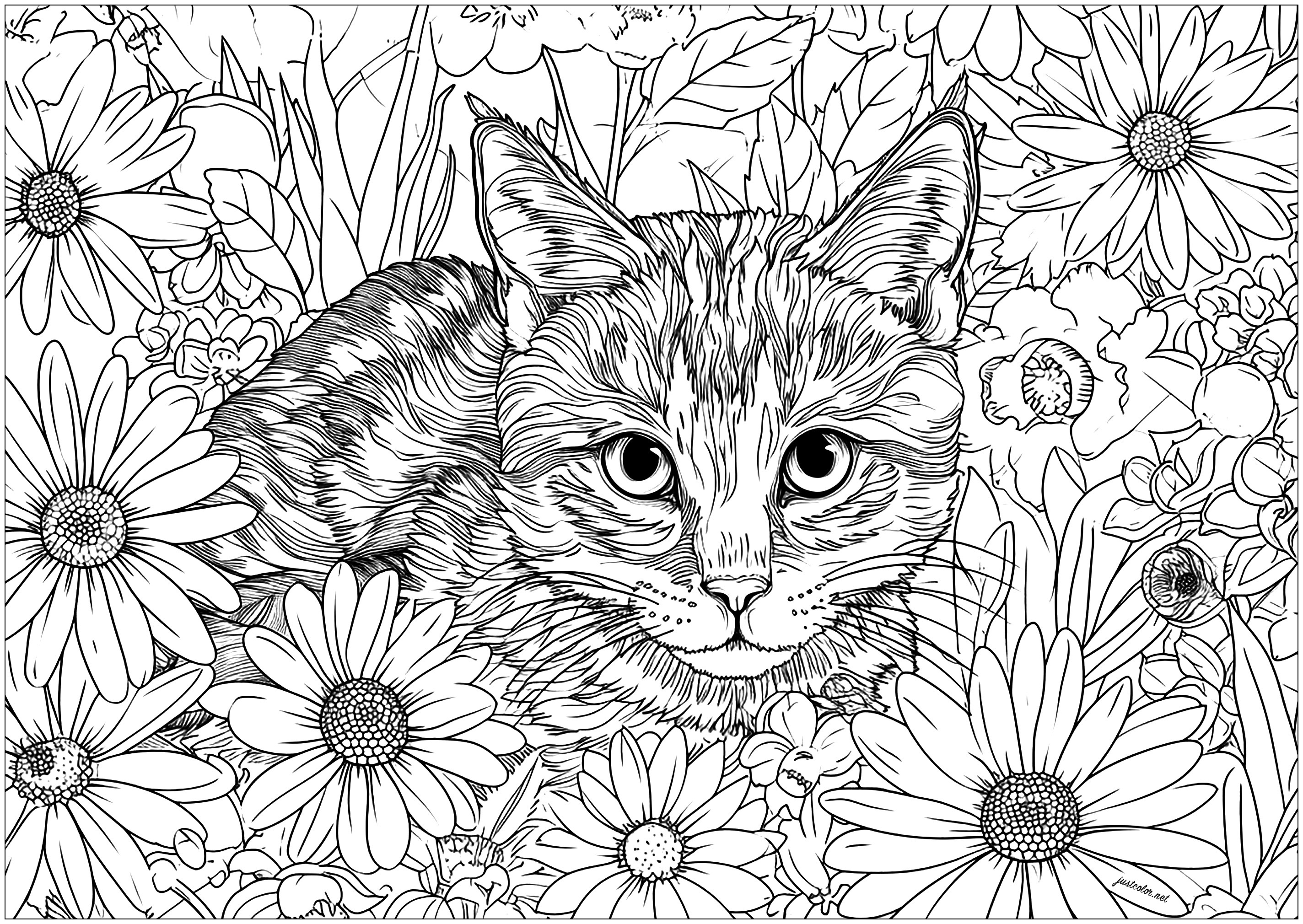 Incroyable chat au regard perçant, entouré de fleurs - Coloriages de
