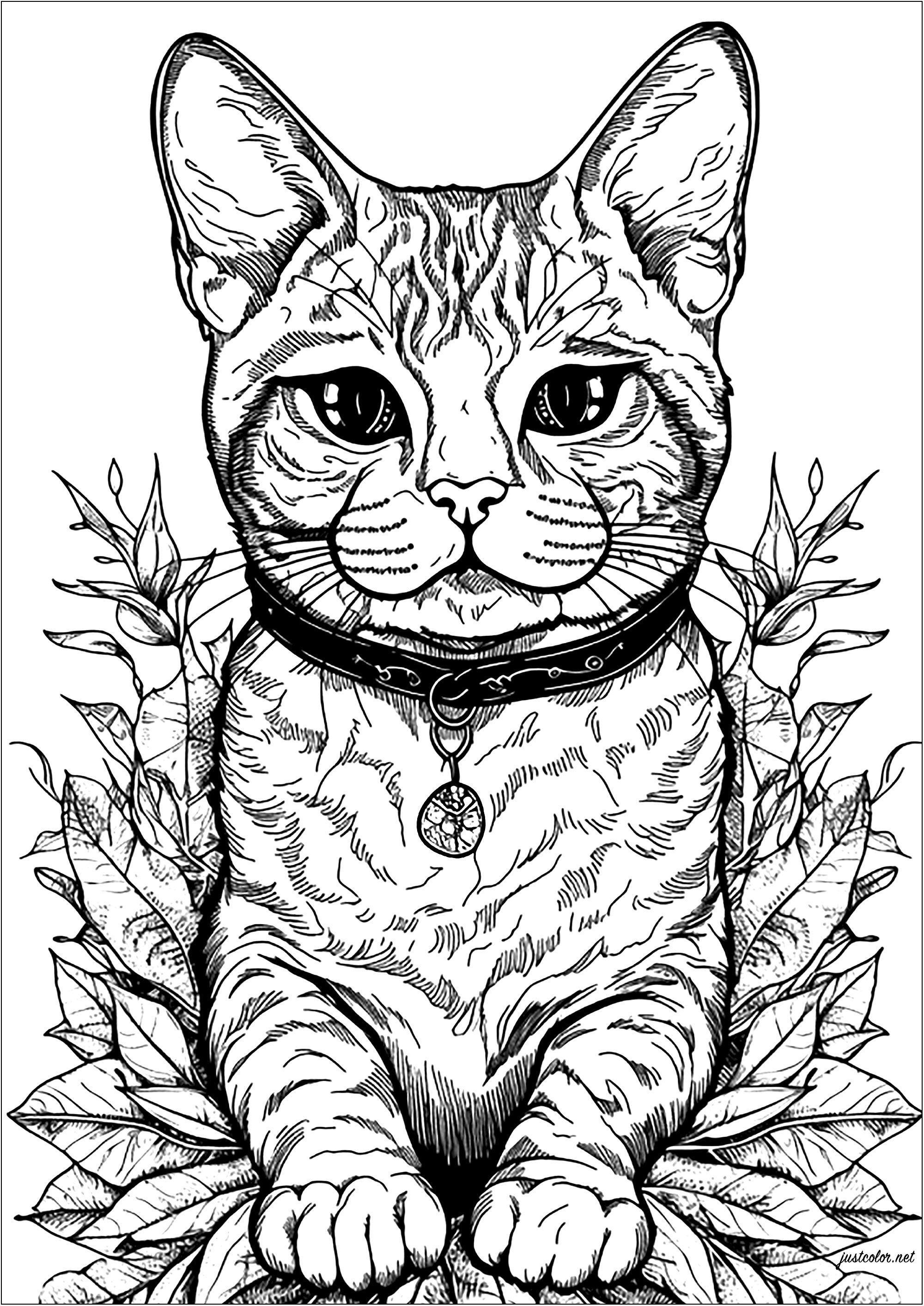 Joli chat et feuilles. Un coloriage assez simple mais très agréable à colorier