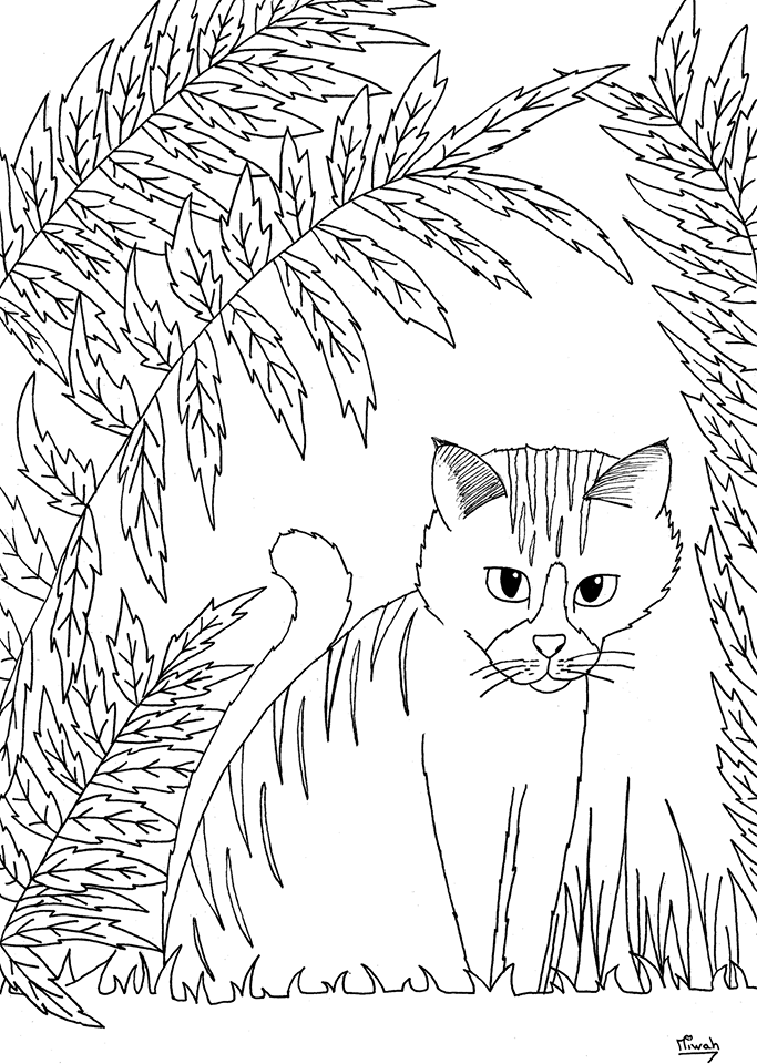 Petit chaton atendrissant, coloriage simple, Artiste : Miwah