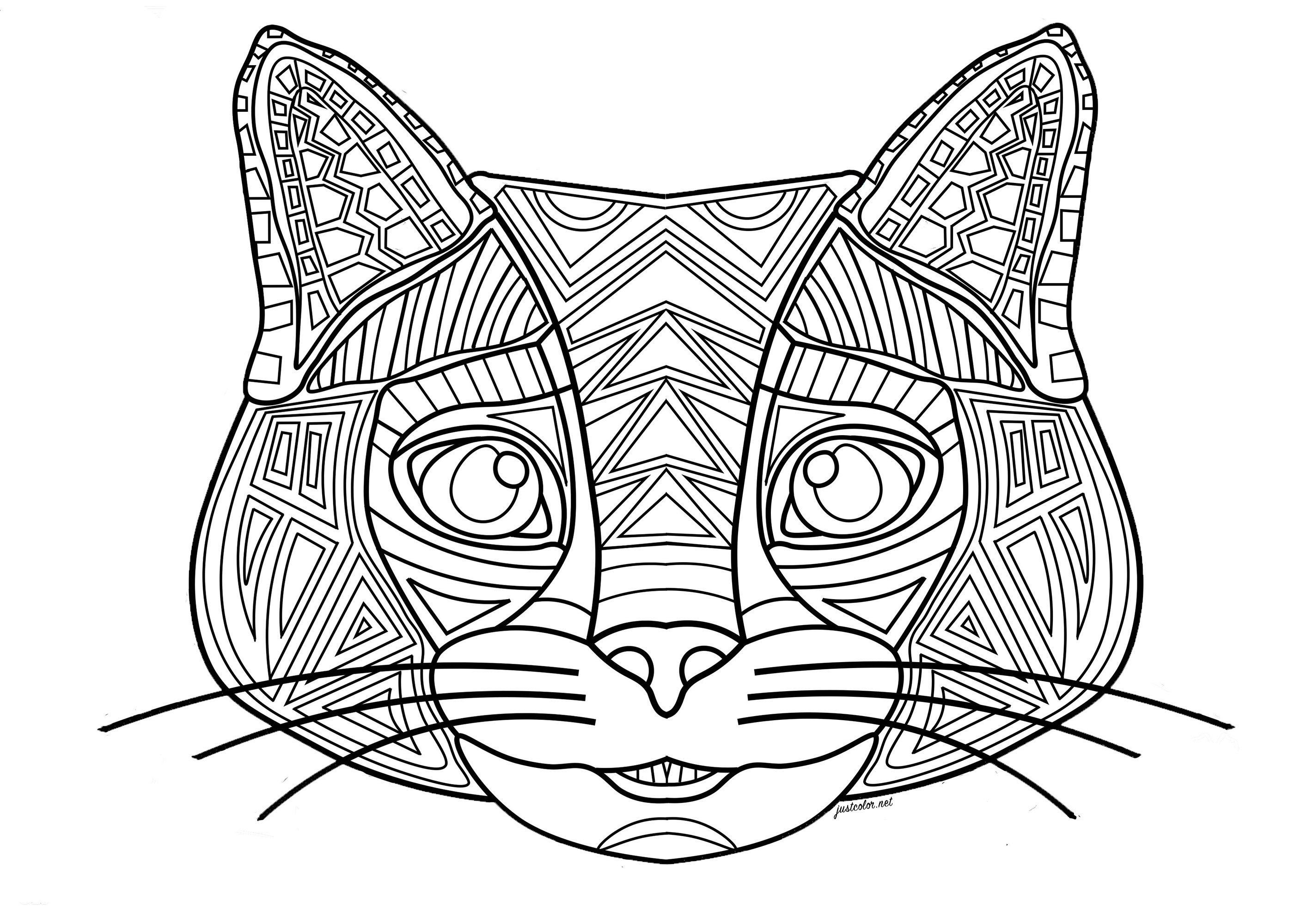 Tete Chat Chats Coloriages Difficiles Pour Adultes