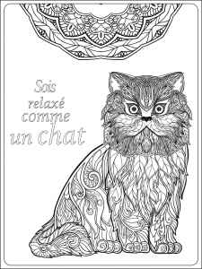 Soit Relax comme un chat . . (Coloriage)