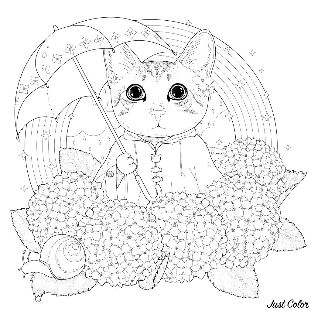 Chat Arc En Ciel Et Mandala Chats Coloriages Difficiles Pour Adultes