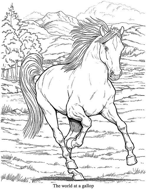 Animaux Cheval Chevaux Coloriages Difficiles Pour Adultes