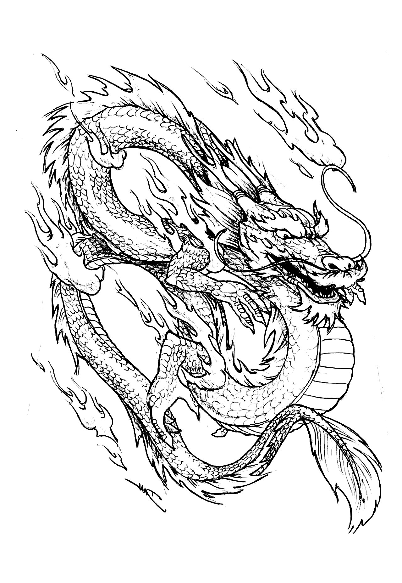 Dessin d'un dragon chinois fourmillant de détail et extrêmement harmonieux