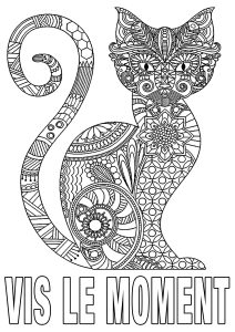 Coloriage de Citations inspirantes et Phrases Zen (EN FRANÇAIS) à imprimer pour adultes : Vis le moment