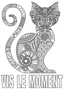 Vis le moment (Coloriage de Citations inspirantes et Phrases Zen (EN FRANÇAIS))