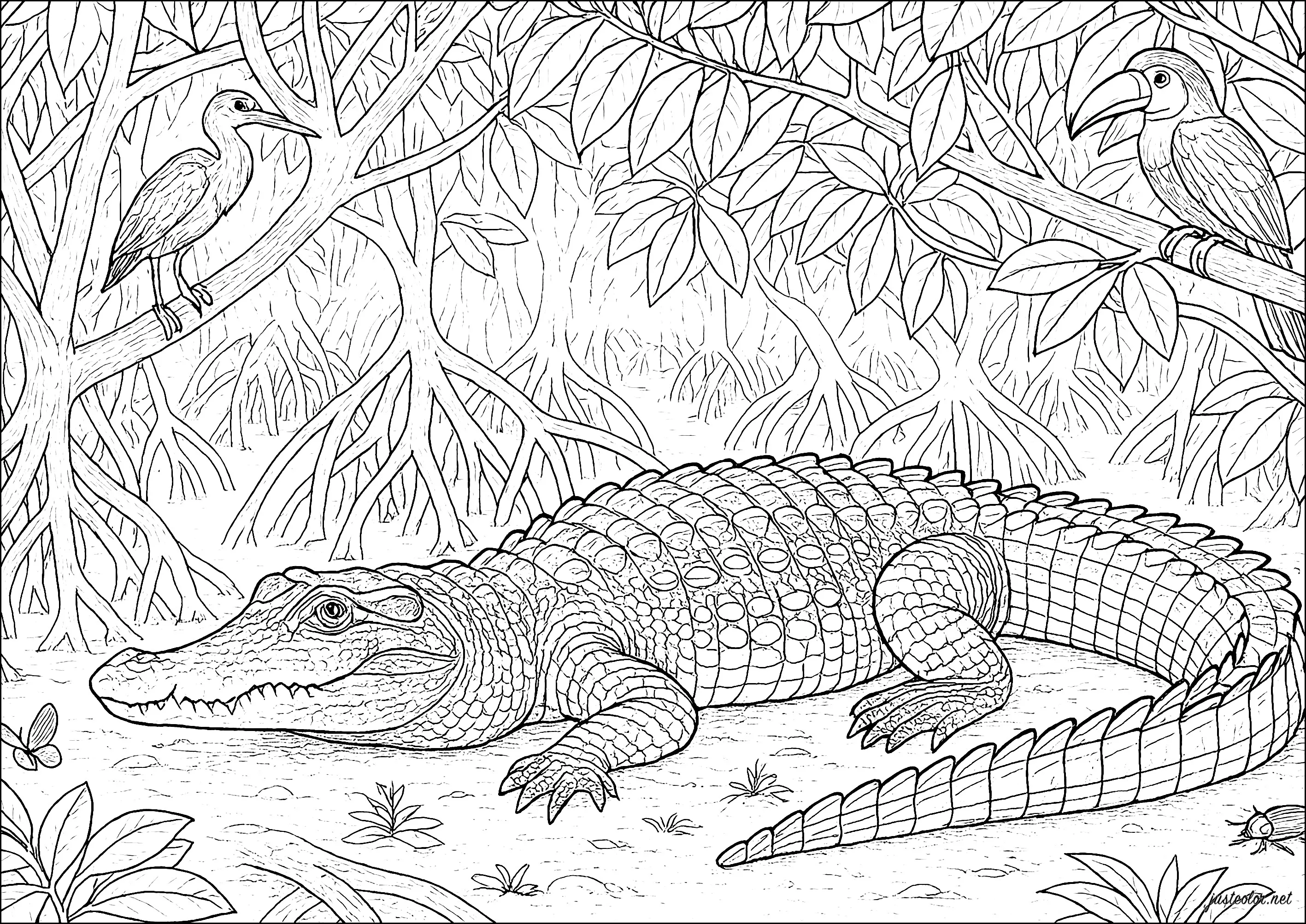 Rencontre sauvage en pleine nature (Coloriage de Crocodile à imprimer pour adultes)