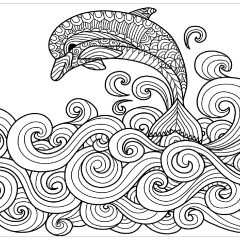 Coloriages de Dauphins à imprimer pour adultes