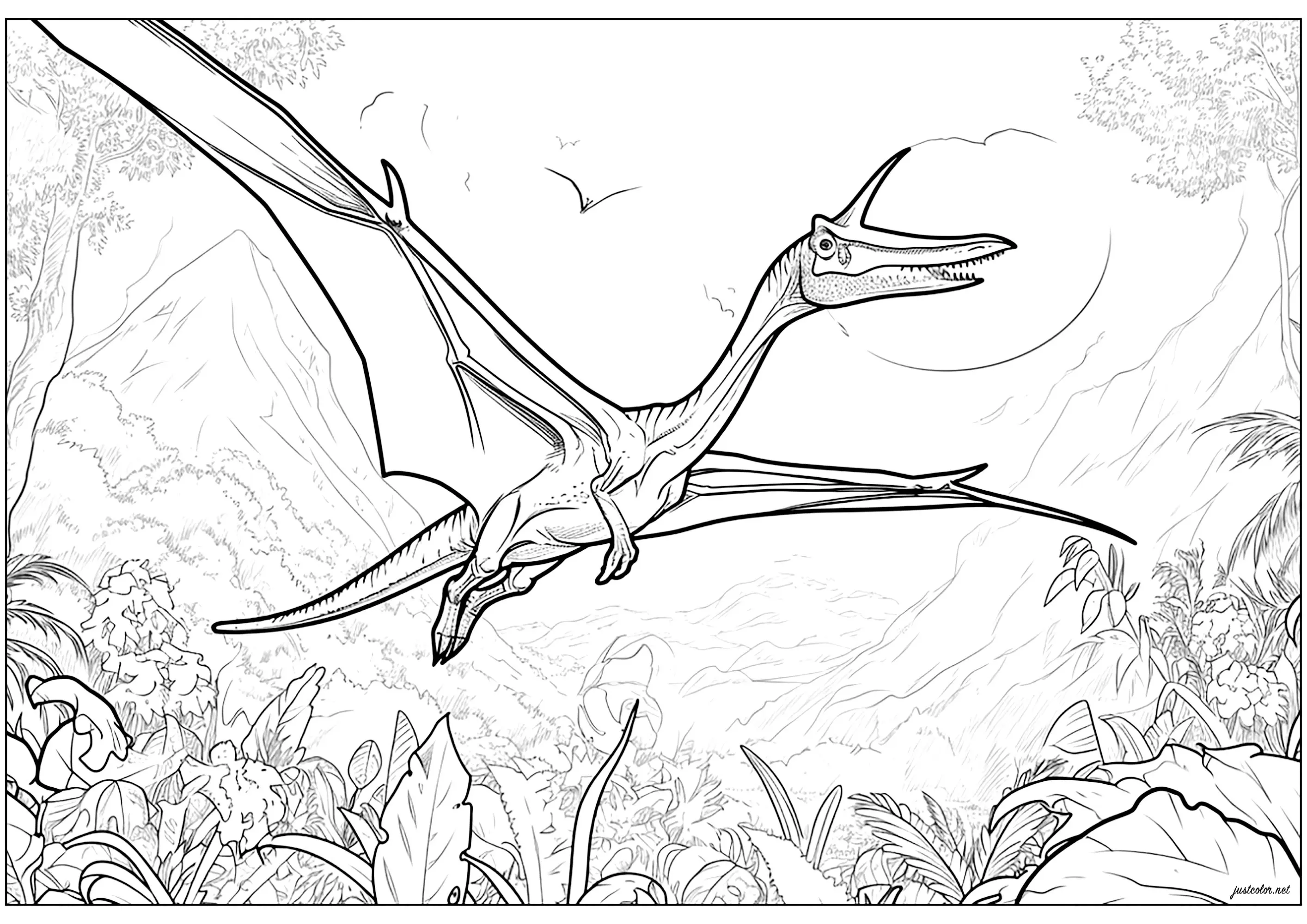 Ptérodactyle en plein vol (Coloriage de Dinosaures à imprimer pour adultes)