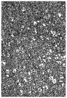 Coloriage fait avec un Doodle, extrêmement complexe . .. des lignes resserrées qui vous donneront du fil à retordre