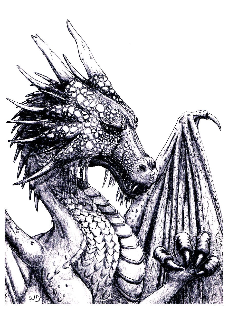 Majestueux Dragon aux écailles complexes (donc parfait pour le coloriage !)